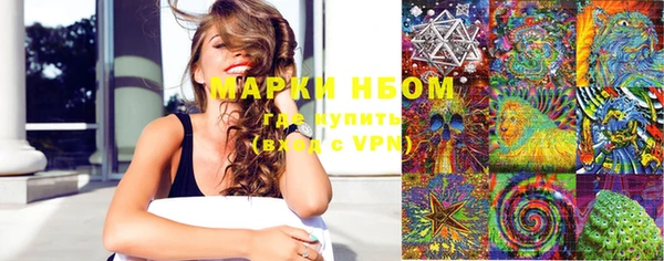 хмурый Алзамай
