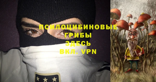 хмурый Алзамай