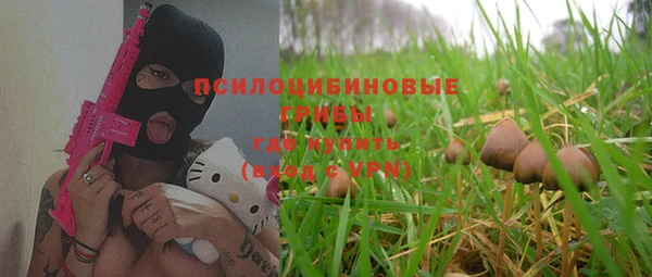 хмурый Алзамай