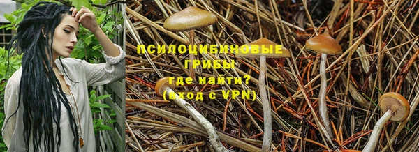 тгк Алексин